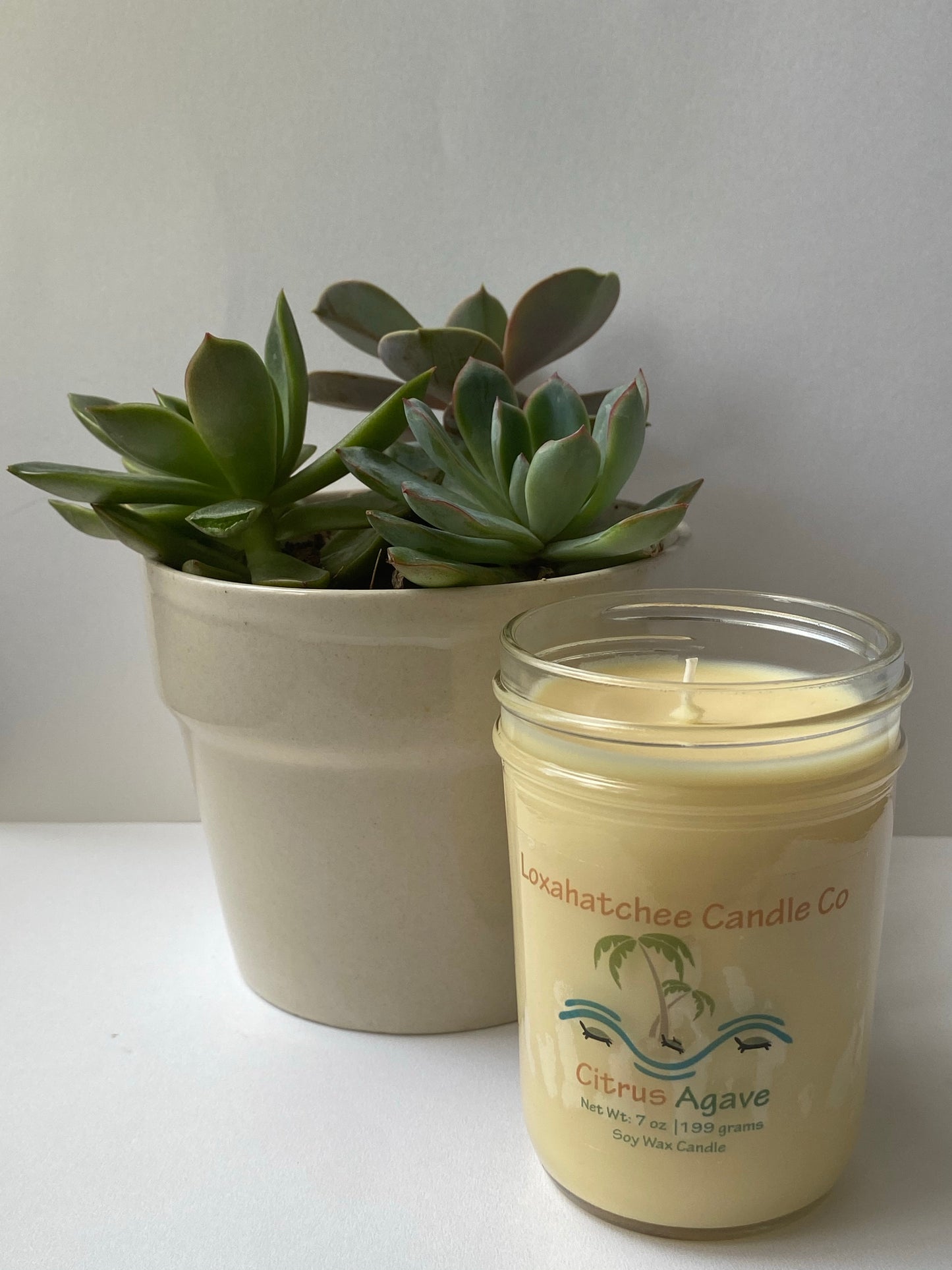 Citrus Agave Soy Wax Candle