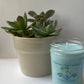 Coconut Lime Verbena Soy Wax Candle