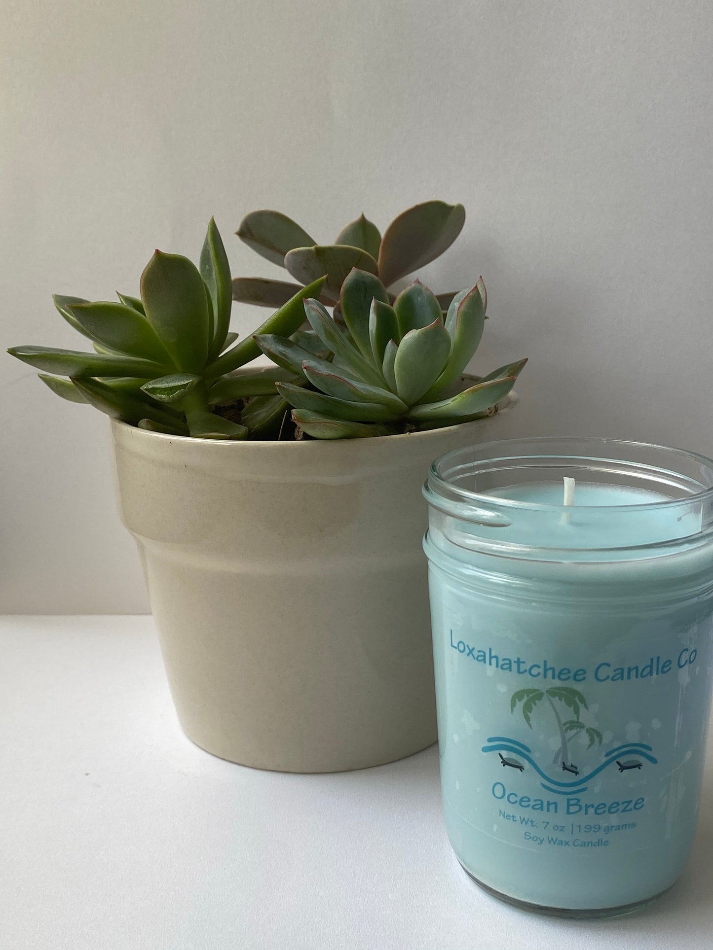 Coconut Lime Verbena Soy Wax Candle