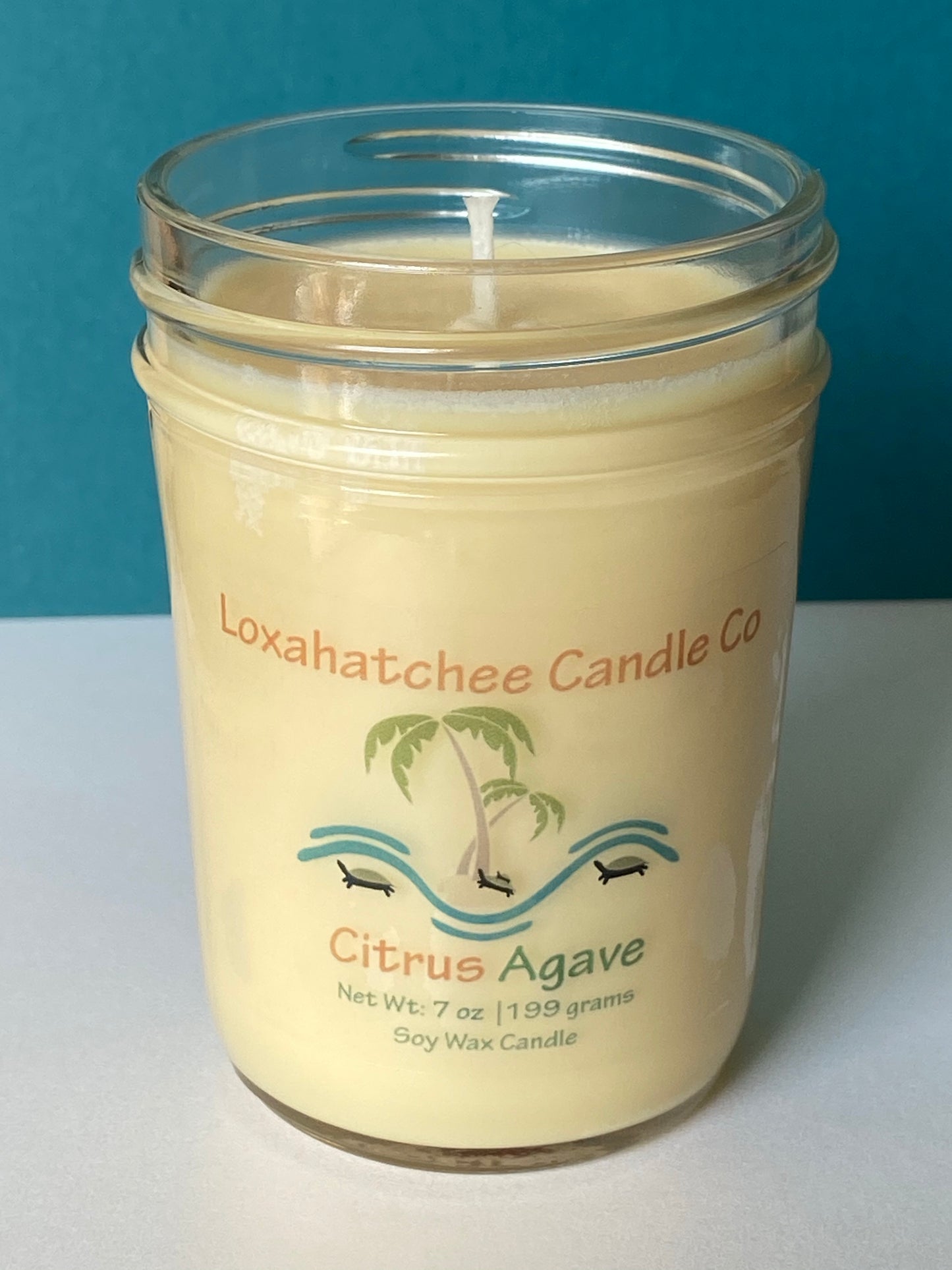 Citrus Agave Soy Wax Candle